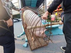 -大自然(鲁家村店)