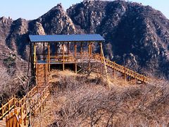 -大岭沟猕猴桃谷风景区