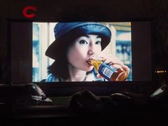 -枫花园汽车电影院(朝阳公园店)