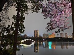 -南宁南湖公园