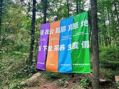 -鲁山国家森林公园