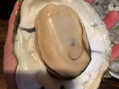 -土蚝·高压锅生蚝(百姓美食街店)
