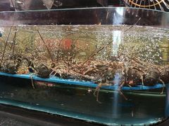 -阿伟海鲜楼·福建菜(延寿店)