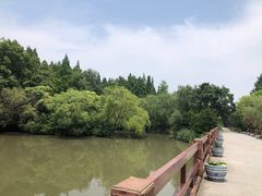 -上海滨江森林公园