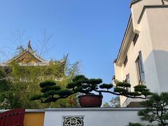 -龙华寺