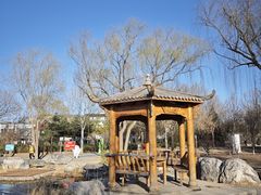 -太阳宫公园