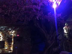 -漢頓温泉度假酒店