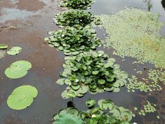 -同里国家湿地公园