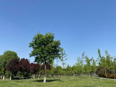 -洨河生态公园