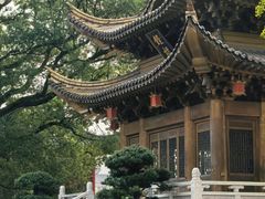 -上海东林寺(金山区)