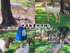 -六鳌翡翠湾滨海度假景区