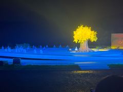 -鼎盛王朝康熙大典实景演出