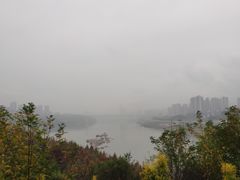 -金海湾滨江公园