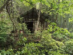 -藏龙百瀑风景区
