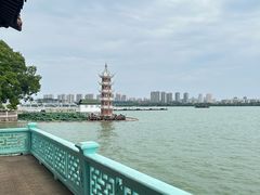 -无锡蠡湖国家湿地公园-蠡园