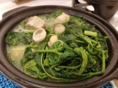 咸骨白贝煮桑叶-广州酒家(昌岗地铁站店)