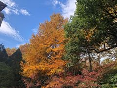 -浙江大学(玉泉校区)