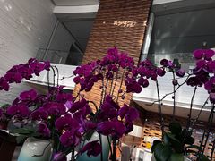 -天津海河悦榕庄·Lobby Lounge大堂吧