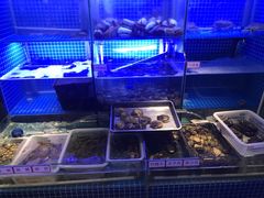 水产区-捞围鲜·港式打边炉(海阳路店)