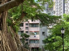 -香港佐治五世纪念公园