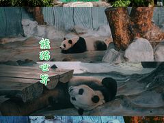 -海南热带野生动植物园