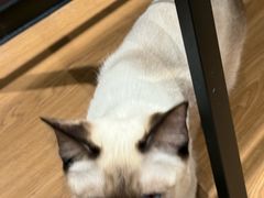 -剧狐剧本杀(徐汇1号店)