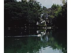 -蝴蝶泉公园
