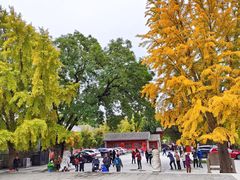 -北京石刻艺术博物馆(五塔寺)