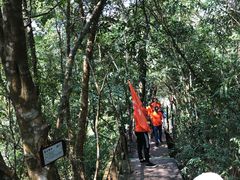 -海南霸王岭国家森林公园