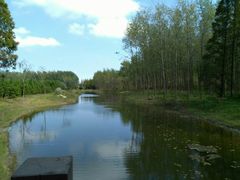 -黄海国家森林公园