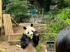 -深圳野生动物园