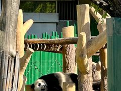 -沈阳森林动物园