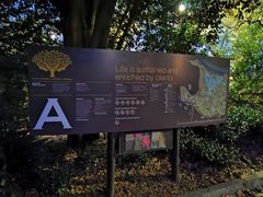 -墨尔本皇家植物园