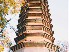 -正阳书局(西四南大街店)
