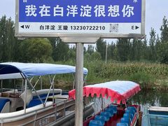 -白洋淀景区