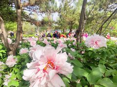 -太阳宫公园