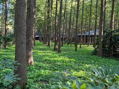 -泗洪洪泽湖湿地景区