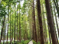 -云龙湖旅游景区