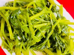 -蛇口康乐快餐鱼仔档(翠苑小区店)