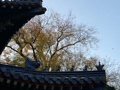 -灵谷景区