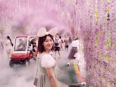 -沈阳方特欢乐世界