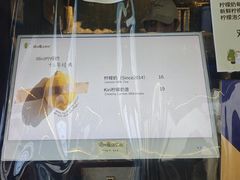 -猫的魔法密林(衣裳街店)