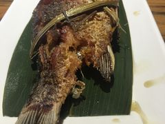 -茶花妹子云南餐厅(北大店)