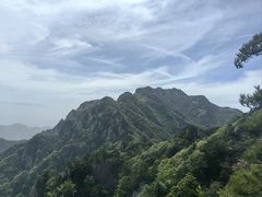 -王顺山国家森林公园