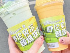 -茉酸奶(春熙路店)