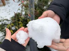 -宁波五龙潭景区