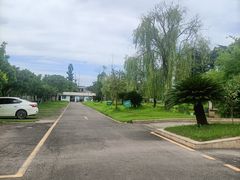 -美宁肥牛(旗舰店)