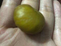 -阿男野栗王(金门路店)