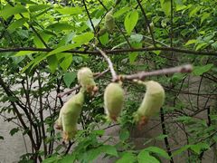 -湖北省美术院美术馆