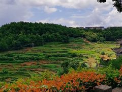 -乌石村